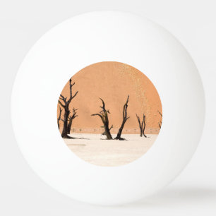 Dead Vlei, Namibia Tischtennisball