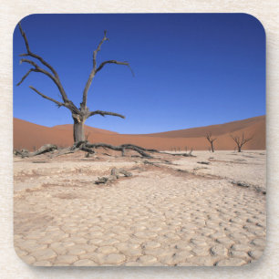 Dead Vlei, Sossusvlei, Namib-Naukluft National Getränkeuntersetzer