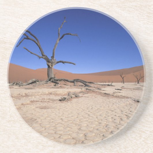 Dead Vlei, Sossusvlei, Namib-Naukluft National Sandstein Untersetzer (Vorne)