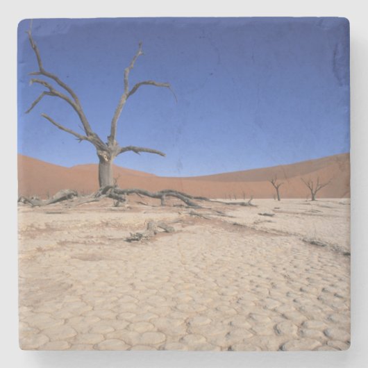 Dead Vlei, Sossusvlei, Namib-Naukluft National Steinuntersetzer (Vorderseite)