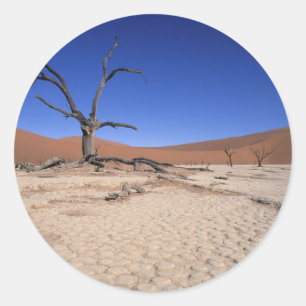 Dead Vlei, Sossusvlei, Namib-Naukluft-Nationalpark Runder Aufkleber