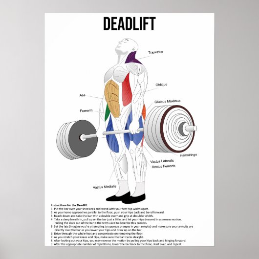 Deadlift - Übung - Diagramm der Muskelanatomie Poster (Vorne)