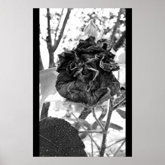 deadly poster (Vorne)