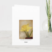 Dean Mother, Light Daffodil Karte (Rückseite)