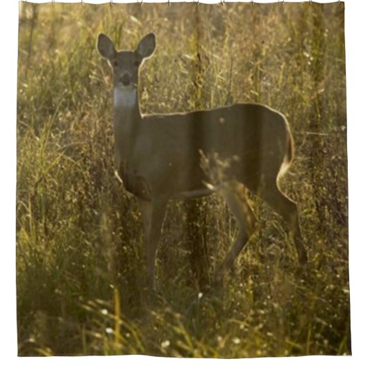 DEAR CAMP 2 DUSCHKURTAN DUSCHVORHANG (Vorderseite)