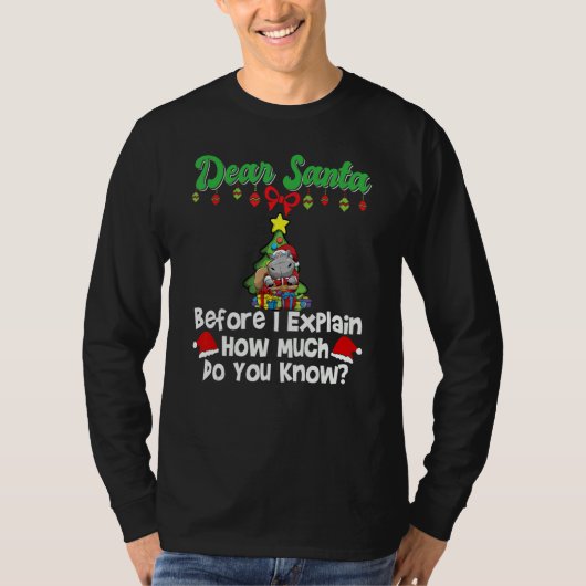 Dear Santa Before I Explain How Much Do You Know_3 T-Shirt (Vorderseite)