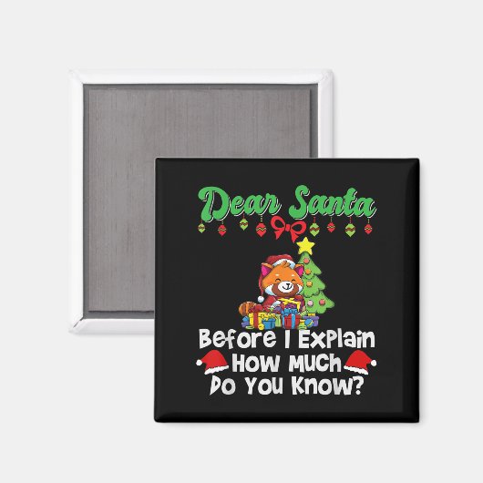 Dear Santa Before I Explain How Much Do You Know Magnet (Vorderseite/Rückseite)