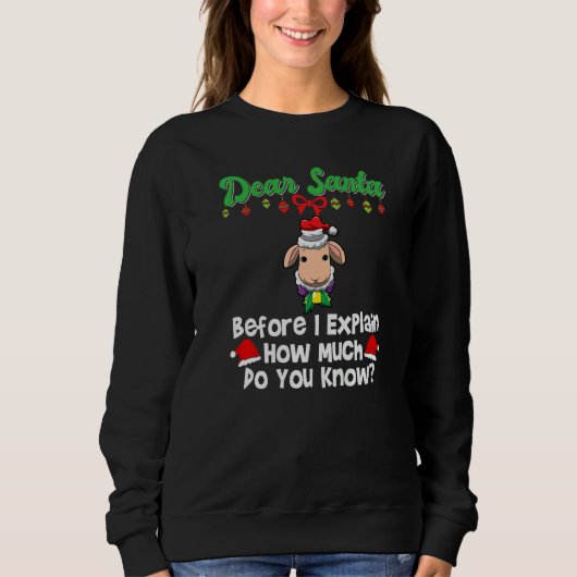 Dear Santa Before I Explain How Much Do You Know P Sweatshirt (Vorderseite)