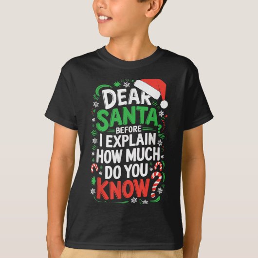 Dear Santa Before I Explain How Much Do You Know S T-Shirt (Vorderseite)