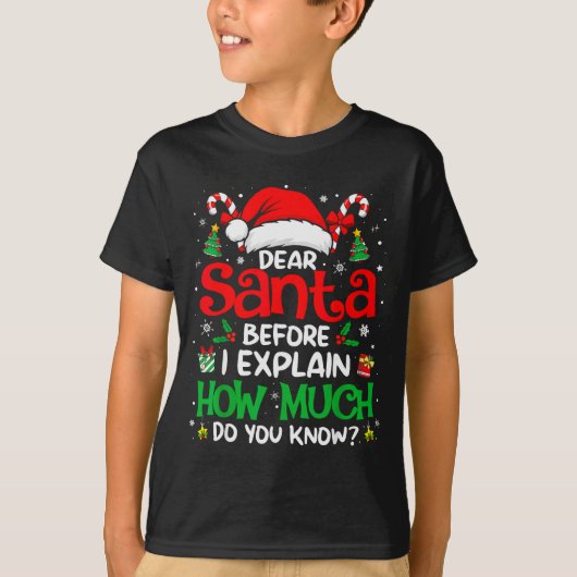 Dear Santa I Can Explain Funny Christmas Men Women T-Shirt (Vorderseite)