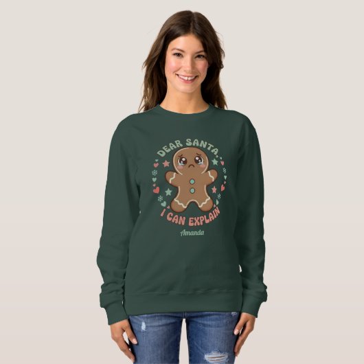 Dear Santa, I Can Explain Funny Christmas Sweatshirt (Vorne ganz)