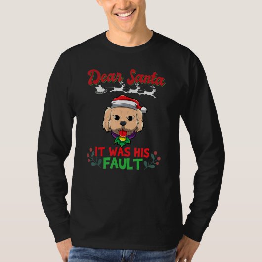 Dear Santa It Was His Fault Siblings Matching Xmas T-Shirt (Vorderseite)