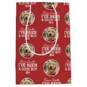 Dear Santa I've Been a Good Boy, Dog Photo Mittlere Geschenktüte (Vorderseite)