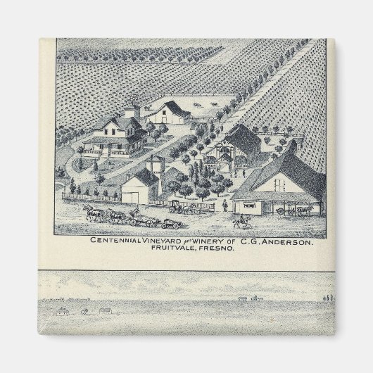 Deardorff and Centennial Vineyards, Kalifornien Magnet (Vorne)