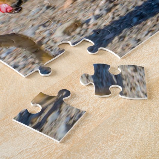 Death Valley Desert Fox. Puzzle (Seite)