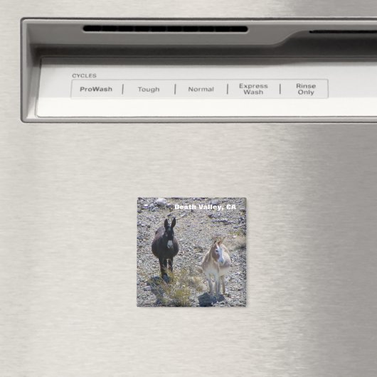 Death Valley Donkey Magnet! Magnet (In Situ (Geschirrspüler))