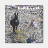 Death Valley Donkey Magnet! Magnet (Vorne)