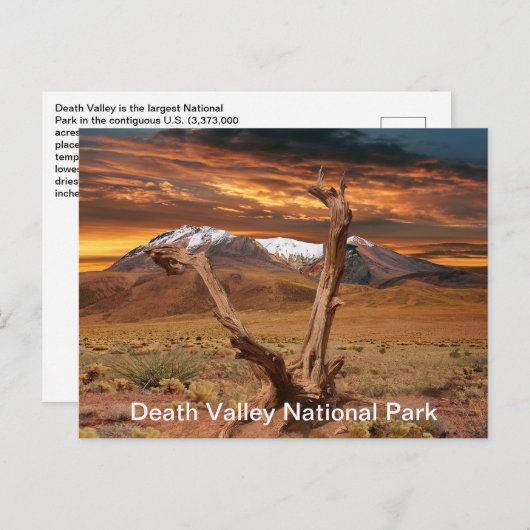 Death Valley National Park Fakten Postkarte (Vorne/Hinten)