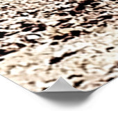 Death Valley National Park Poster (Ecke)