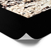 Death Valley National Park Poster (Ecke)