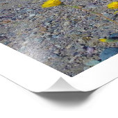 "Death Valley Super Bloom", Natur Fotodruck (Ecke)