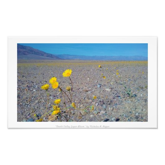 "Death Valley Super Bloom", Natur Fotodruck (Vorne)