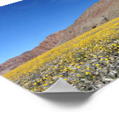 Death Valley Super-Bloom Poster (Ecke)
