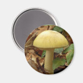 Deathcap Mushroom Magnet (Vorderseite/Rückseite)