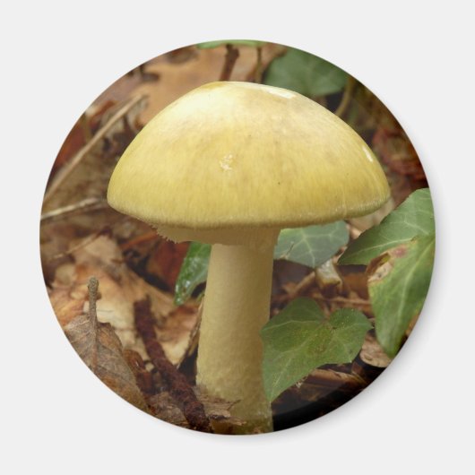 Deathcap Mushroom Magnet (Vorne)