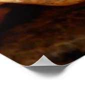 Deathcap Mushroom Poster (Ecke)