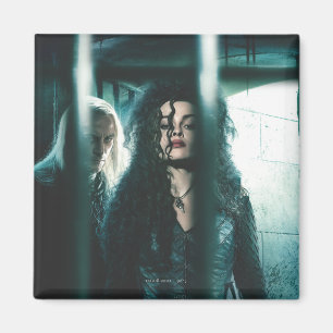 Deathly Hallows - Bellatrix & Lucius Magnet