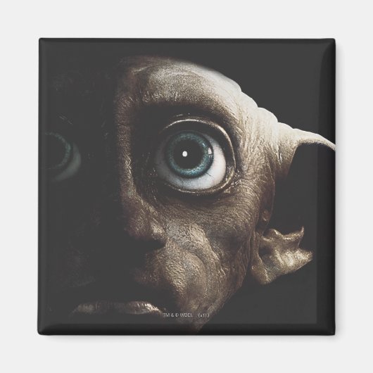 Deathly Hallows - Dobby Magnet (Vorne)