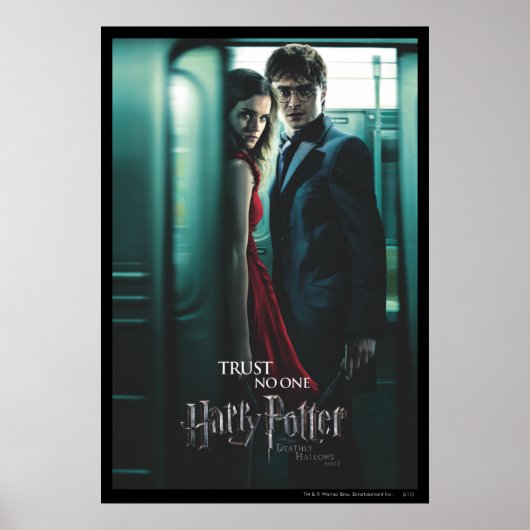 Deathly Hallows - Harry und Hermione Poster (Vorne)