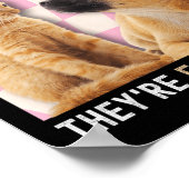 Debate 2024 Haustiere Katze Sie essen W Poster (Ecke)