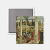 Debatte von St. Stephen Magnet (Vorderseite/Rückseite)