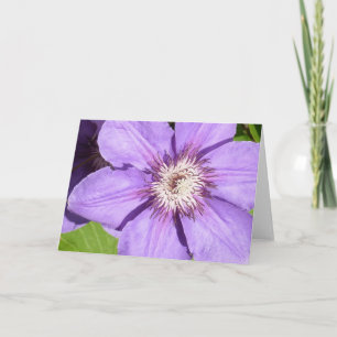 Debbie's Clematis Greeting Card Karte