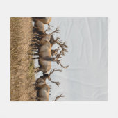 DEBERHERD FLEECEDECKE (Vorderseite (Horizontal))