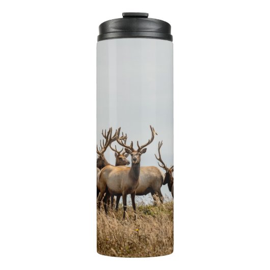 DEBERHERD THERMOSBECHER (Vorderseite)