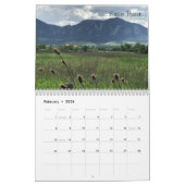 DeBie Bienenstock 2019 52+ Kalender (Feb 2026)