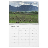 DeBie Bienenstock 2019 52+ Kalender (Feb 2027)