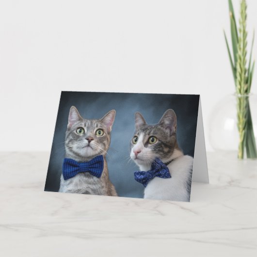 Debonair Cats in Bowties Ankündigung (Vorderseite)
