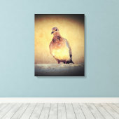 Debonair Dove Leinwanddruck (Insitu (Holzboden))