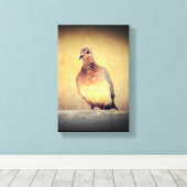 Debonair Dove Leinwanddruck (Insitu (Holzboden))