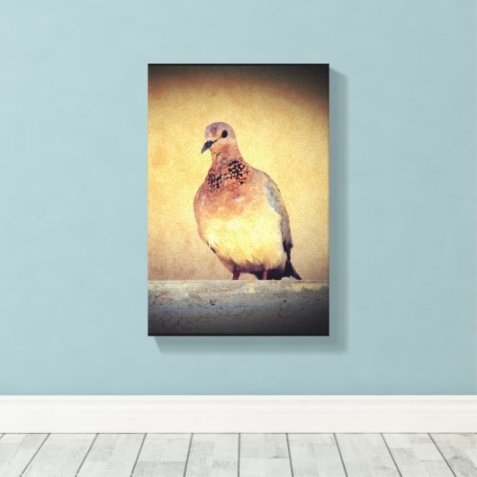 Debonair Dove Leinwanddruck (Insitu (Holzboden))