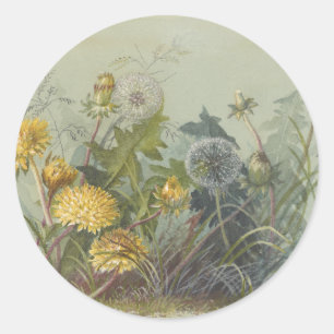 Deborah Griscom Passmore Watercolor Album Pl.60 Runder Aufkleber