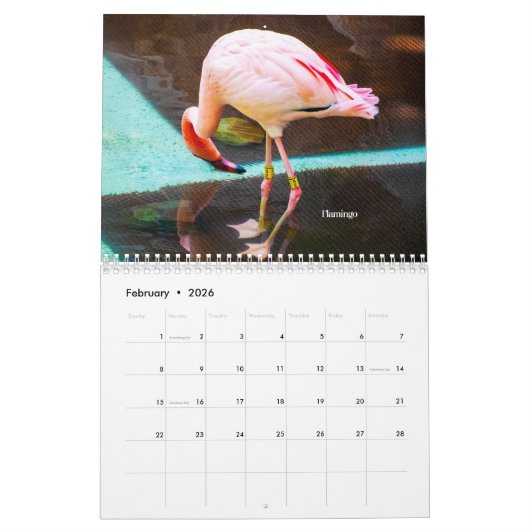 DeborahGraphix 2026 Calendar Kalender (Feb 2026)