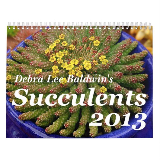 Debra-Lee Baldwins Kalender Succulents-2013 (Titelbild)