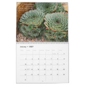 Debra-Lee Baldwins Kalender Succulents-2013 (Jan 2027)