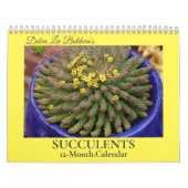 Debra Lee Baldwins Sukkulente-2 12 Monate Kalender (Titelbild)