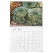 Debra Lee Baldwins Sukkulente-2 12 Monate Kalender (Jan 2027)